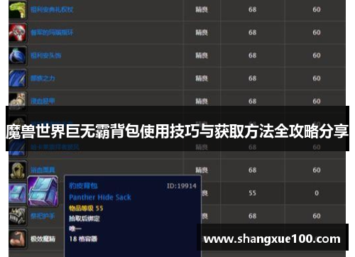魔兽世界巨无霸背包使用技巧与获取方法全攻略分享