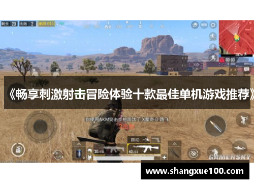 《畅享刺激射击冒险体验十款最佳单机游戏推荐》